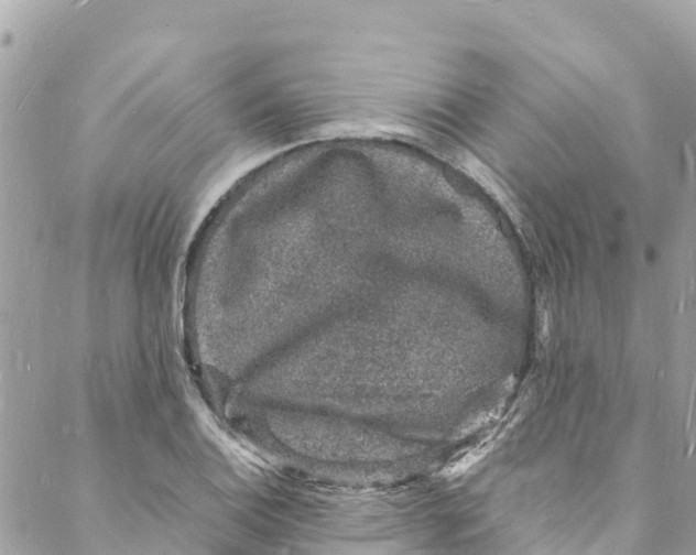 X0000088031124200706011343