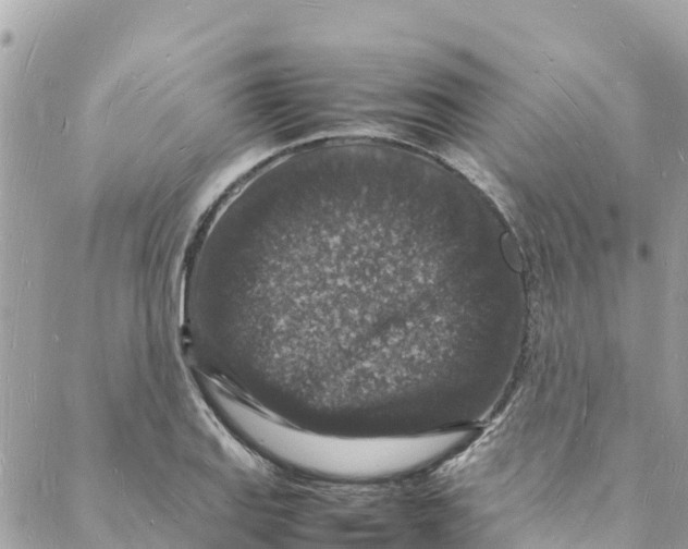 X0000088031127200706011343