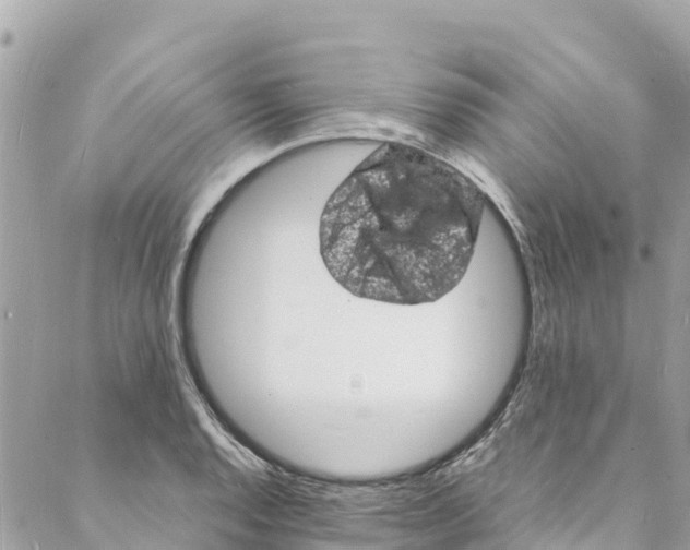 X0000088031128200706011343