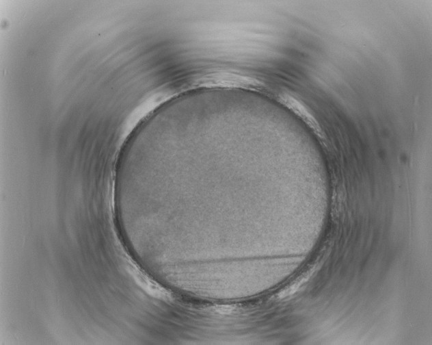 X0000088031130200706011343