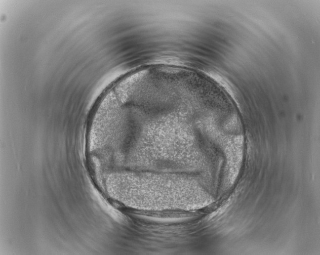 X0000088031131200706011343