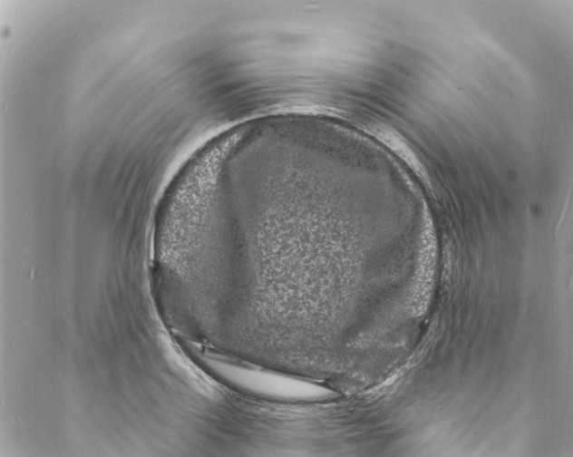 X0000088031132200706011343