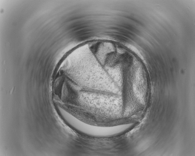 X0000088031133200706011343