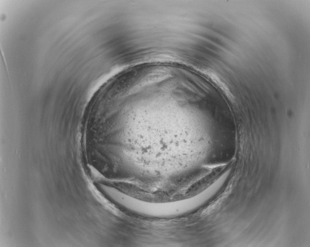 X0000088031134200706011343