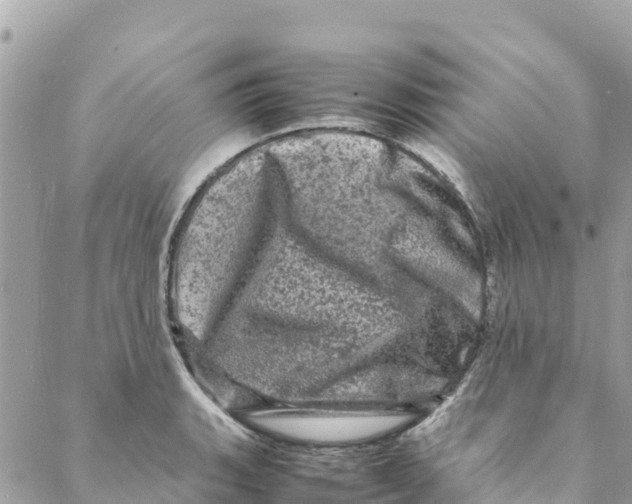 X0000088031135200706011343