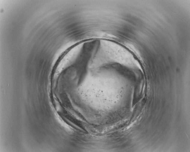 X0000088031136200706011343