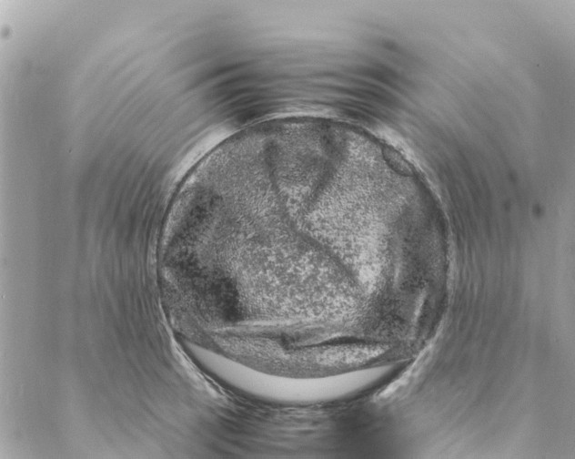 X0000088031137200706011343