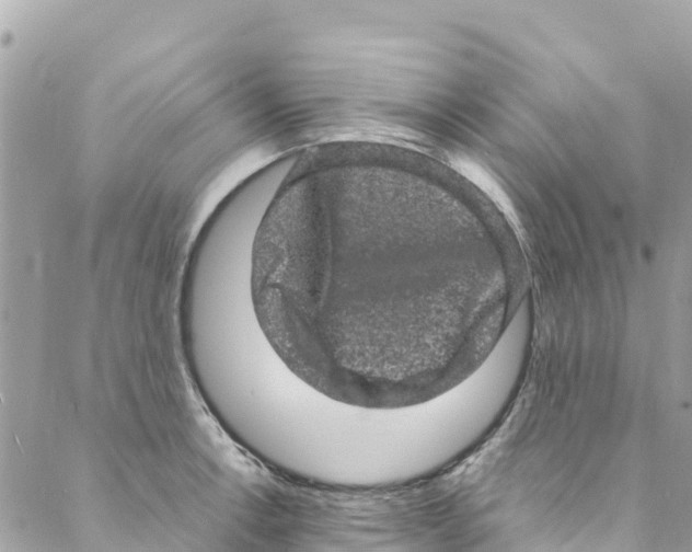 X0000088031138200706011343