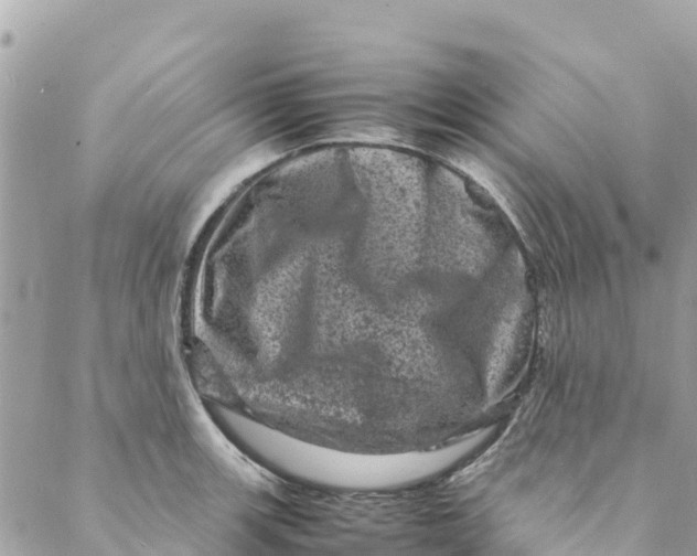 X0000088031139200706011343