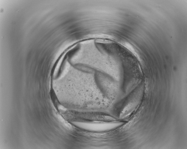 X0000088031140200706011343