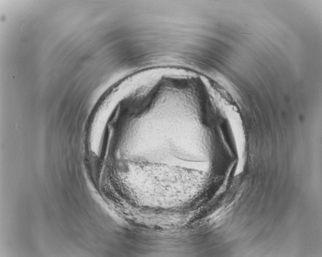 X0000088031142200706011343