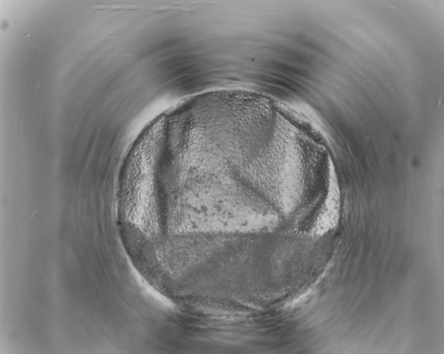 X0000088031143200706011343