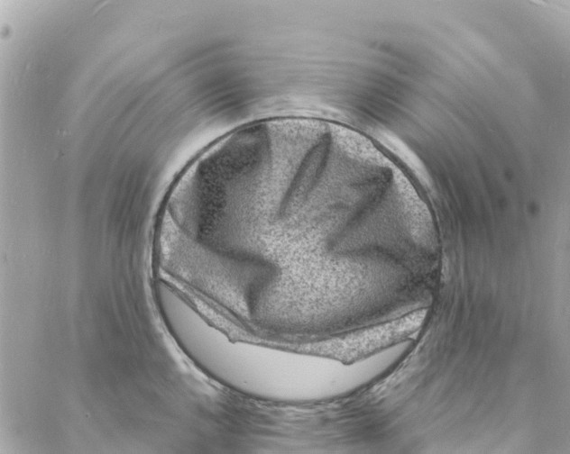 X0000088031144200706011343