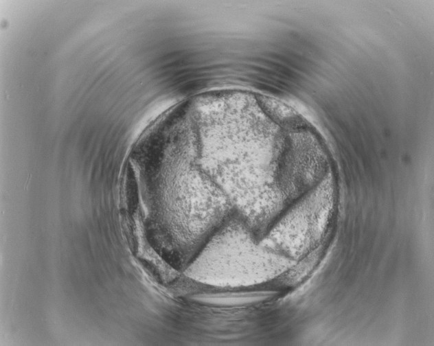 X0000088031145200706011343