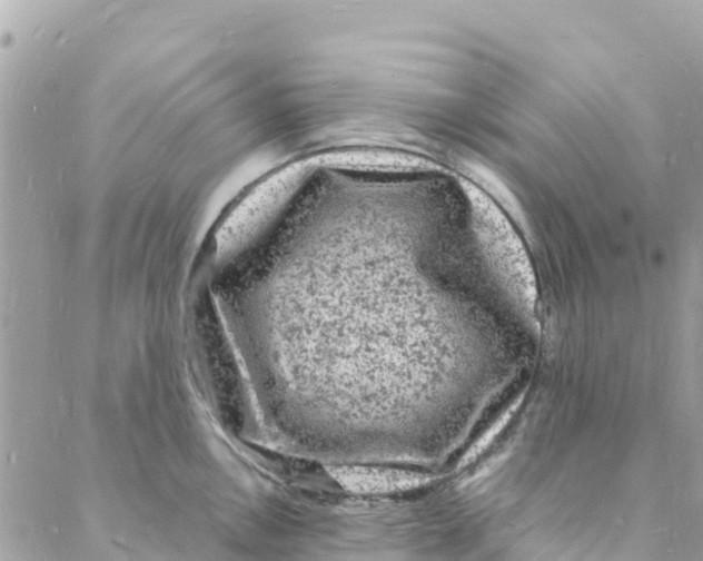 X0000088031146200706011343