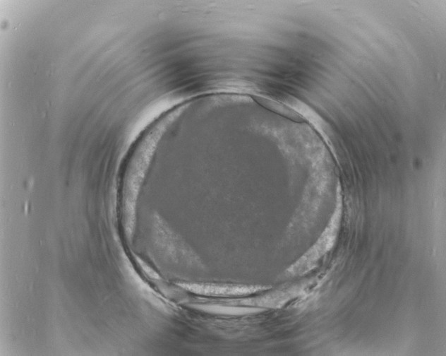 X0000088031147200706011343