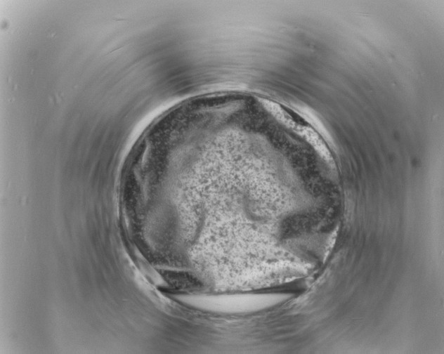 X0000088031148200706011343