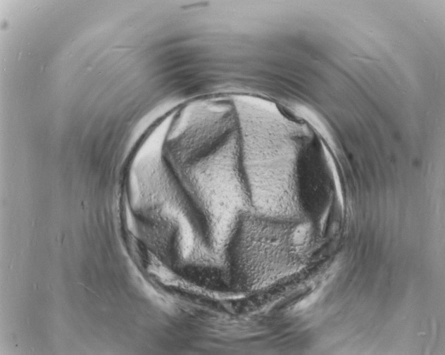 X0000088031149200706011343