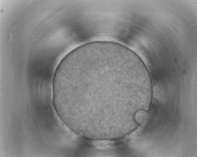 X0000088031150200706011343