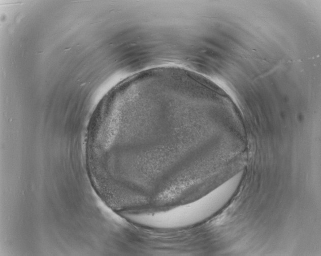 X0000088031151200706011343