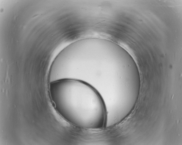 X0000088031152200706011343