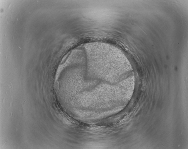 X0000088031153200706011342