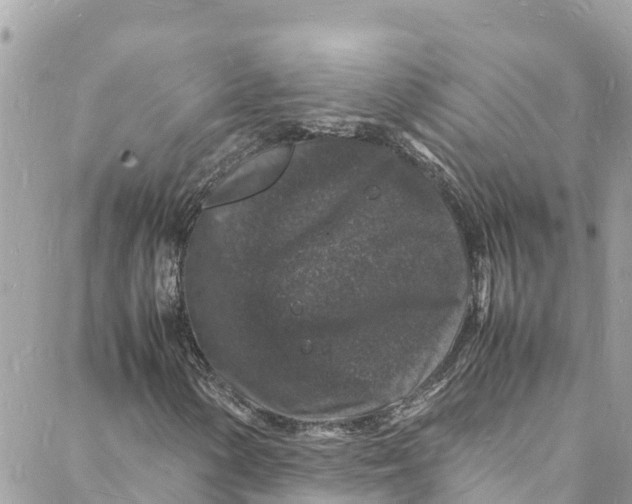 X0000088031154200706011342