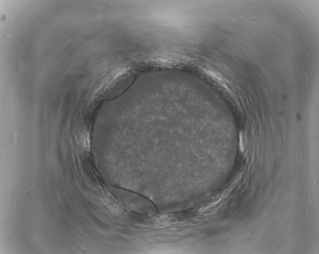 X0000088031155200706011342