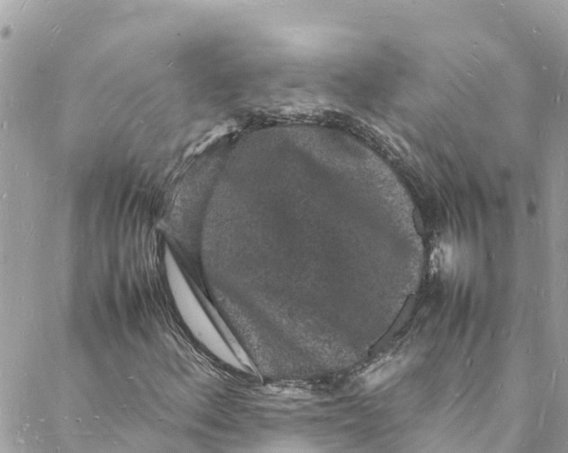 X0000088031156200706011342