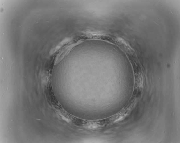 X0000088031157200706011342