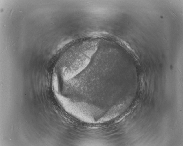 X0000088031158200706011342