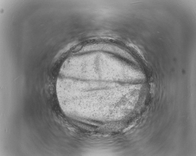 X0000088031159200706011342