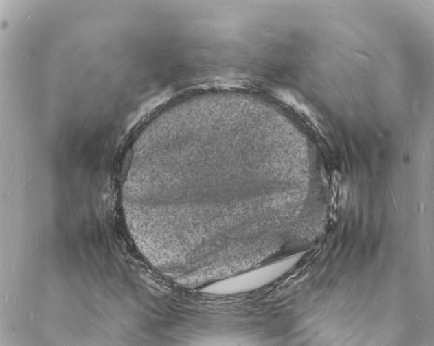 X0000088031160200706011342