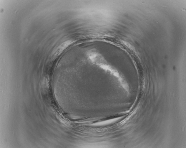 X0000088031161200706011342