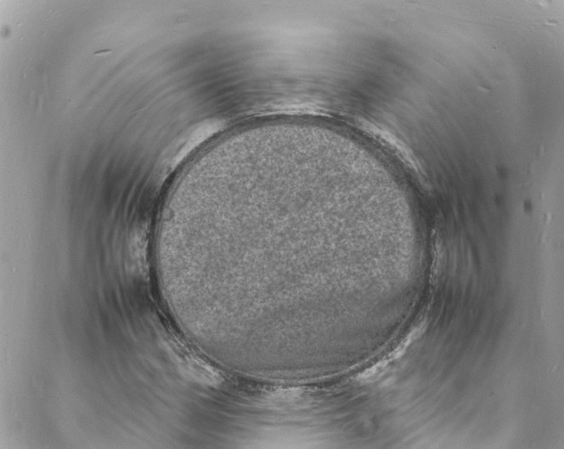 X0000088031162200706011342