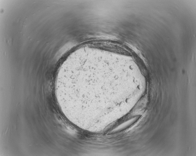 X0000088031163200706011342