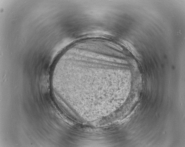 X0000088031164200706011342