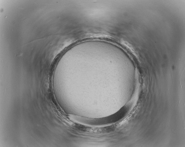 X0000088031165200706011342