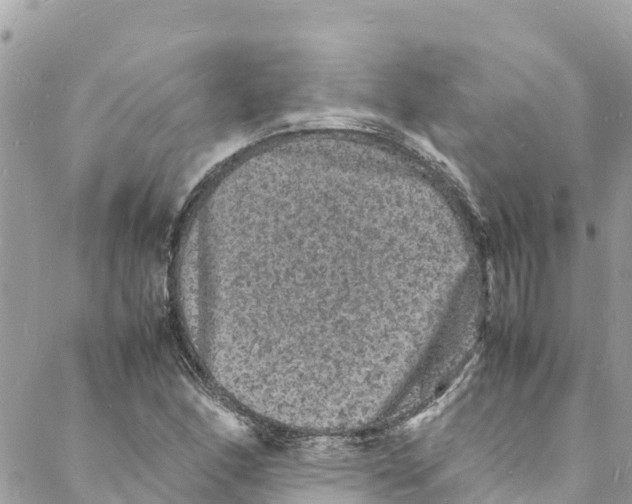 X0000088031166200706011342