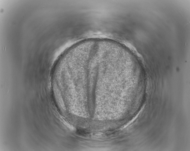 X0000088031167200706011342