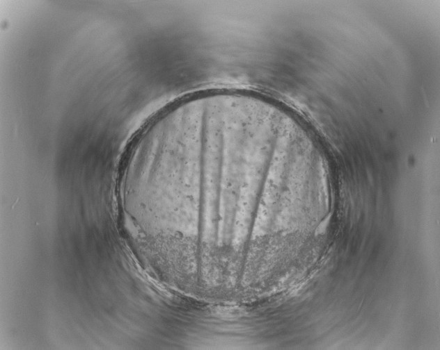 X0000088031168200706011342