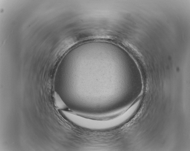 X0000088031169200706011342