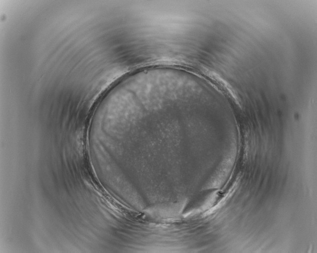 X0000088031170200706011342