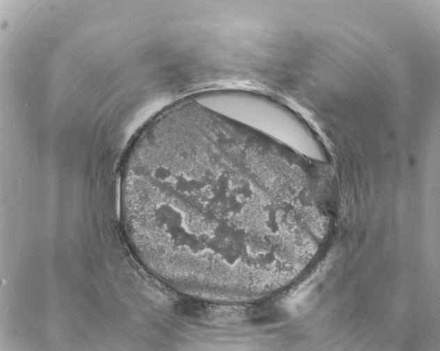 X0000088031171200706011342