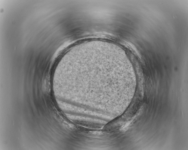 X0000088031172200706011342