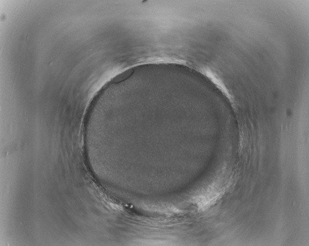 X0000088031173200706011342