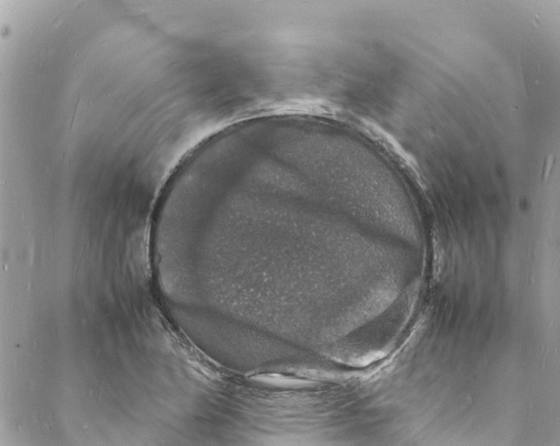 X0000088031174200706011342