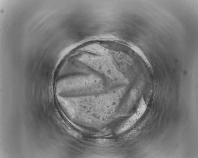 X0000088031176200706011342