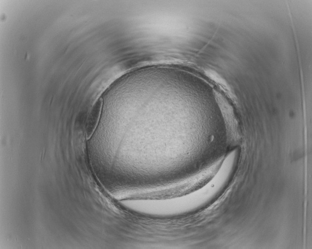 X0000088031177200706011342