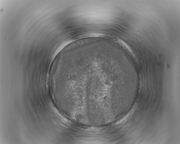 X0000088031178200706011342